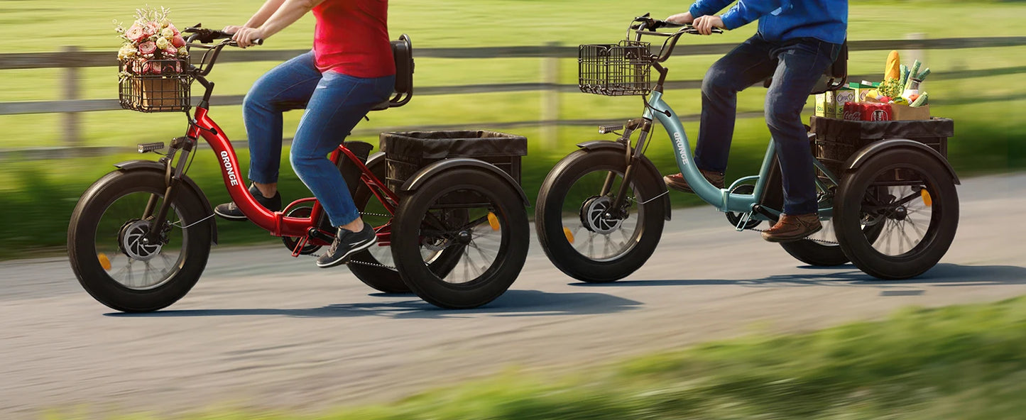 QRONGE Electric Bike for Adults 1200W Peak 36V 20AH Battery Folding Electric Tricycle 75 Miles Range Max 20MPH 20"*4" Fat Tire Electric Trike