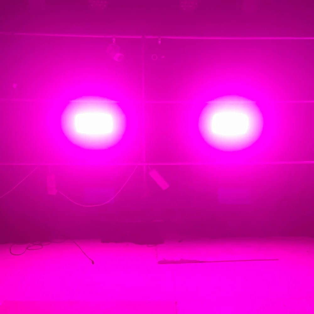 Hyulights 300W LED Beam Strobe RGBW Stage Lighting Fixture