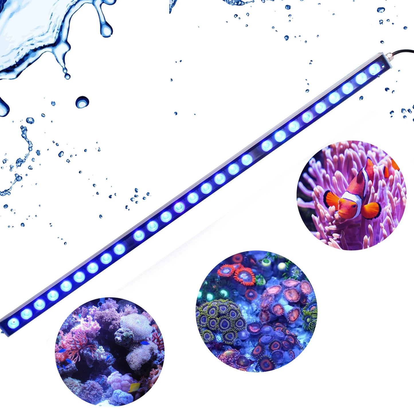 Populargrow Aquarium LED Light for Coral Reef Tanks