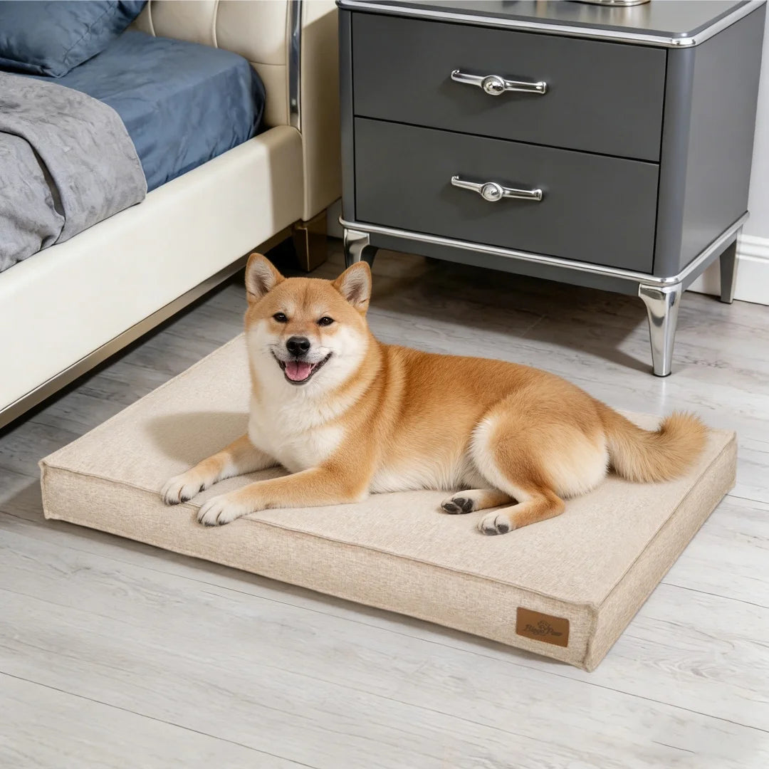 BingoPaw Large Dog Bed Washable: Rectangular Dog Pet Pillow Bed with Linen Cover Foam Base, Waterproof Lining, Cozy Sleep Bed Crate Mattress for Dogs, Kennels