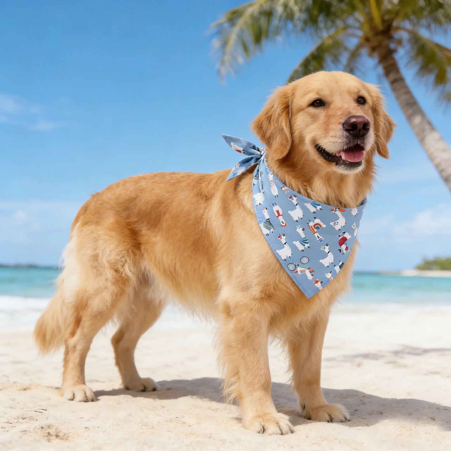 Adjustable Fruit Floral Dog Bandana Soft Washable Scarf