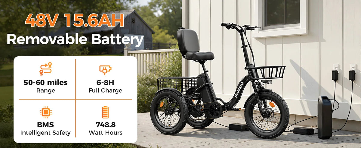 EILLEO SPACEWALK Folding Electric Tricycle with Cargo Basket