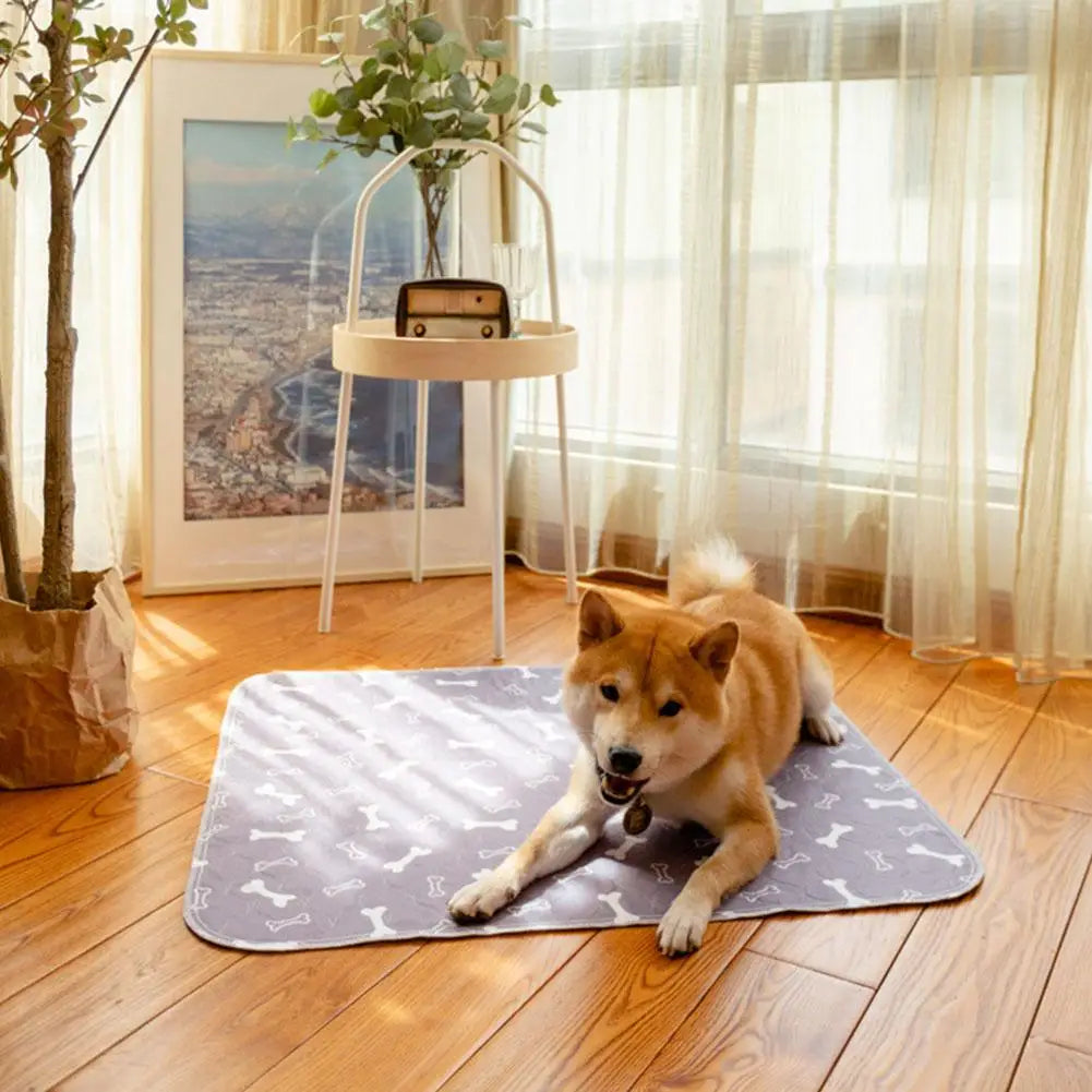 Reusable Dog Pee Pad Blanket Absorbent Diaper Washable Puppy Training Pad Pet Bed Urine Mat for Pet Car Seat Cover Pet Bed