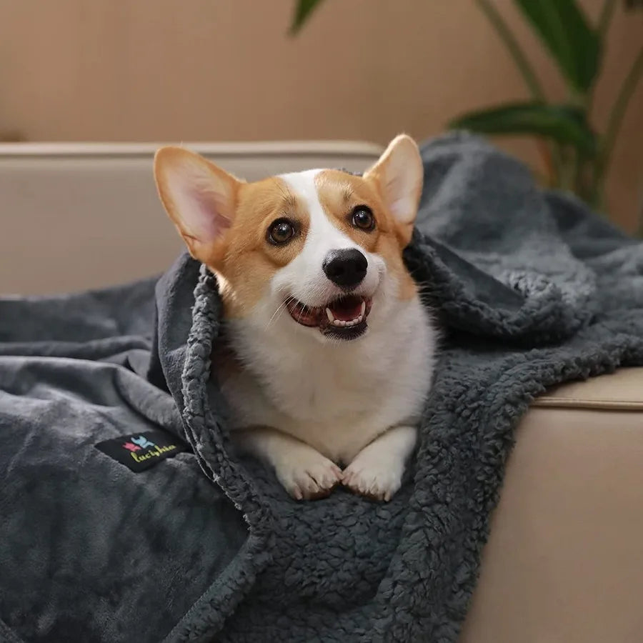 Waterproof Pet Blanket, Liquid Pee Proof Dog Blanket for Sofa Bed Couch, Reversible Sherpa Fleece Furniture Protector Cover for