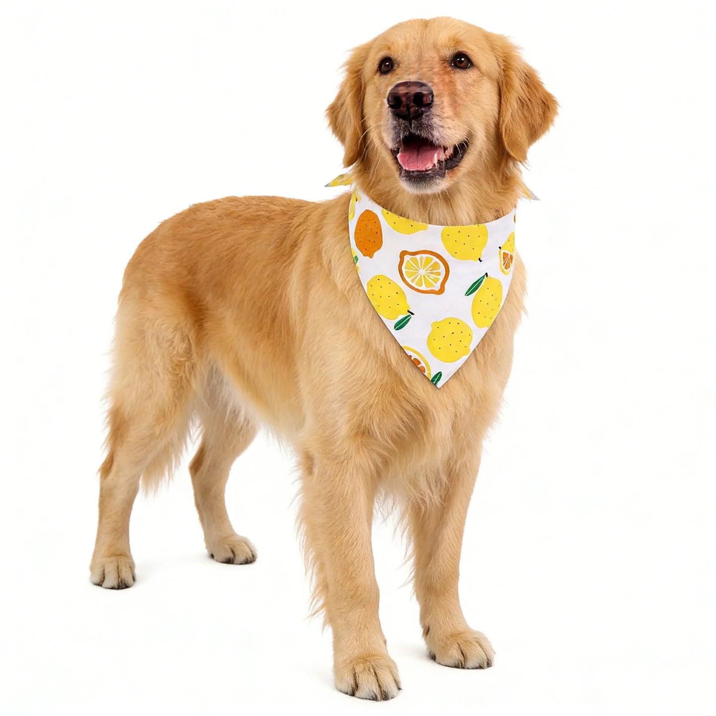 Adjustable Fruit Floral Dog Bandana Soft Washable Scarf