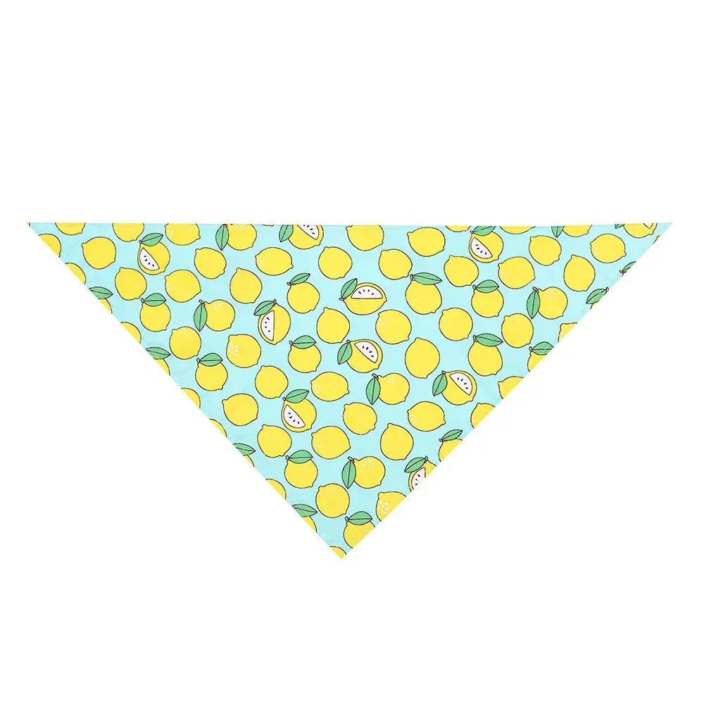 Adjustable Fruit Floral Dog Bandana Soft Washable Scarf