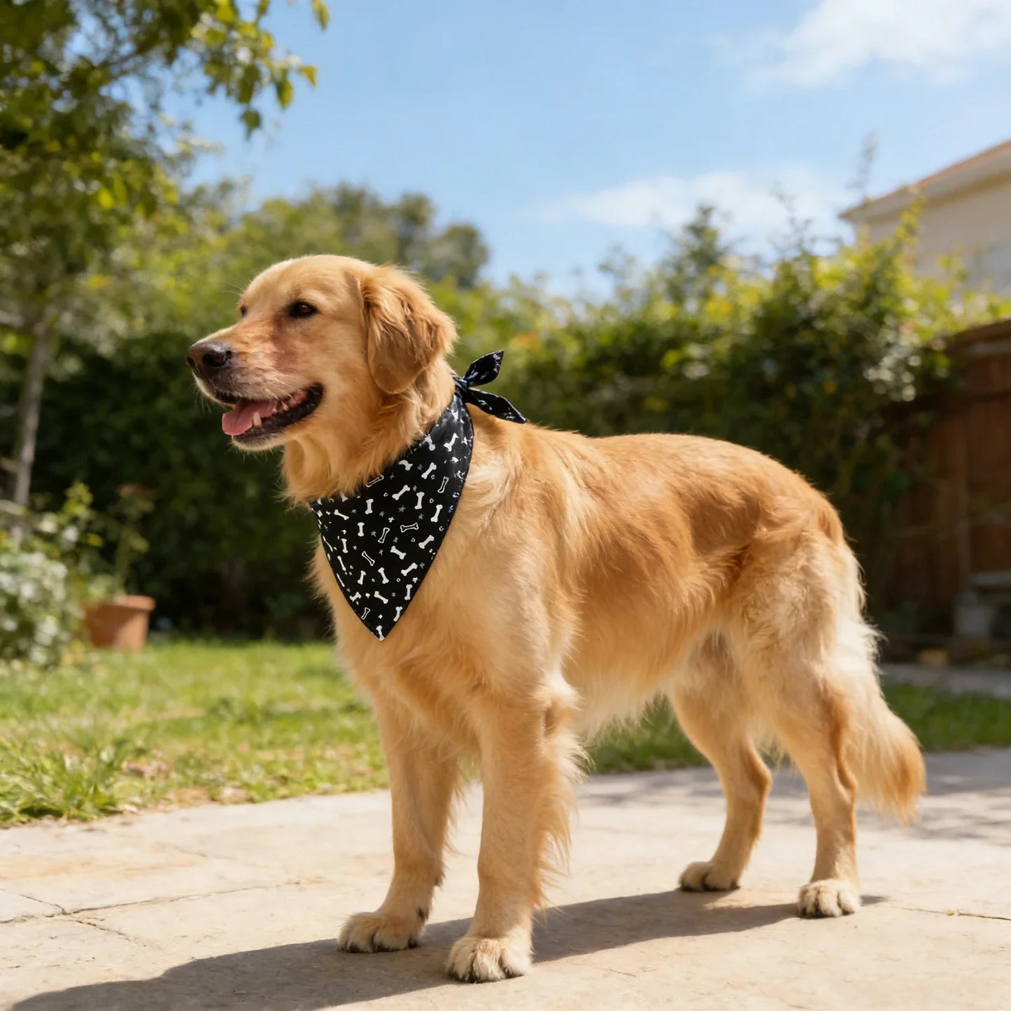 Adjustable Fruit Floral Dog Bandana Soft Washable Scarf