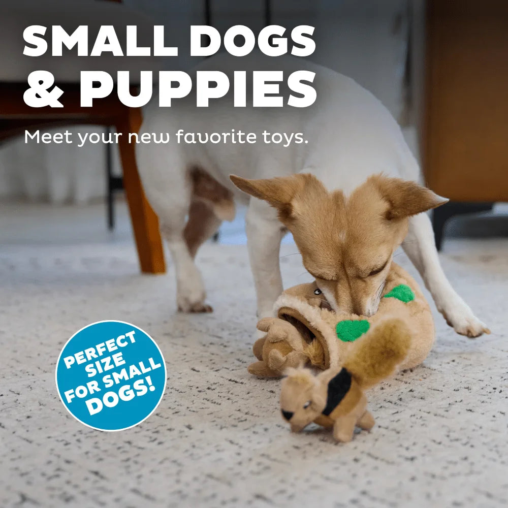 Interactive Plush Squirrel Hide Toy With 3 Squeaky Removable Squirrels For Small Dogs