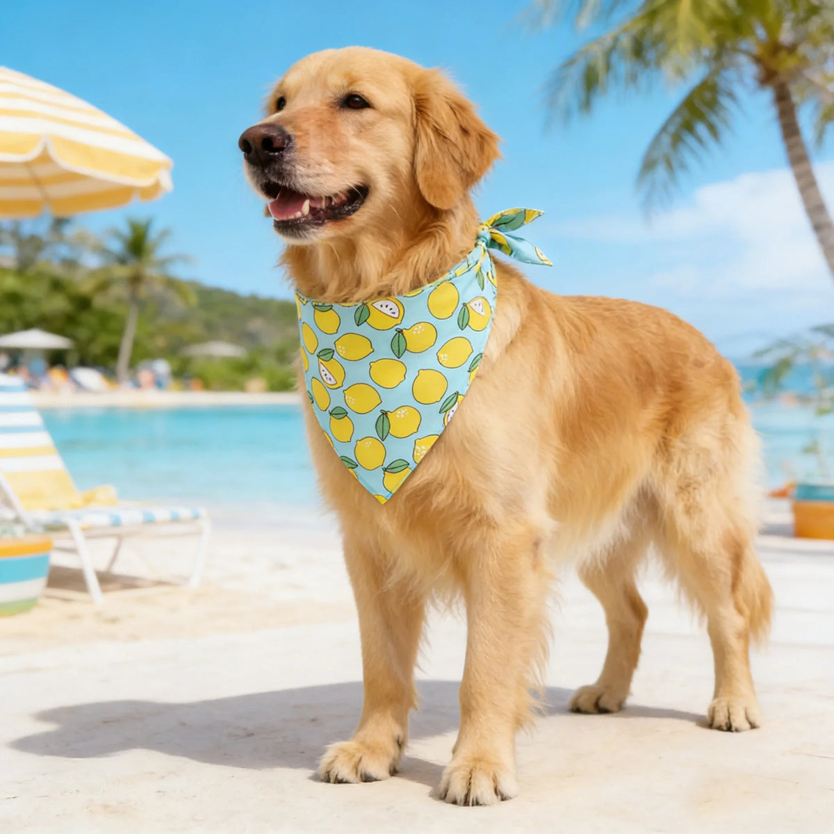 Adjustable Fruit Floral Dog Bandana Soft Washable Scarf