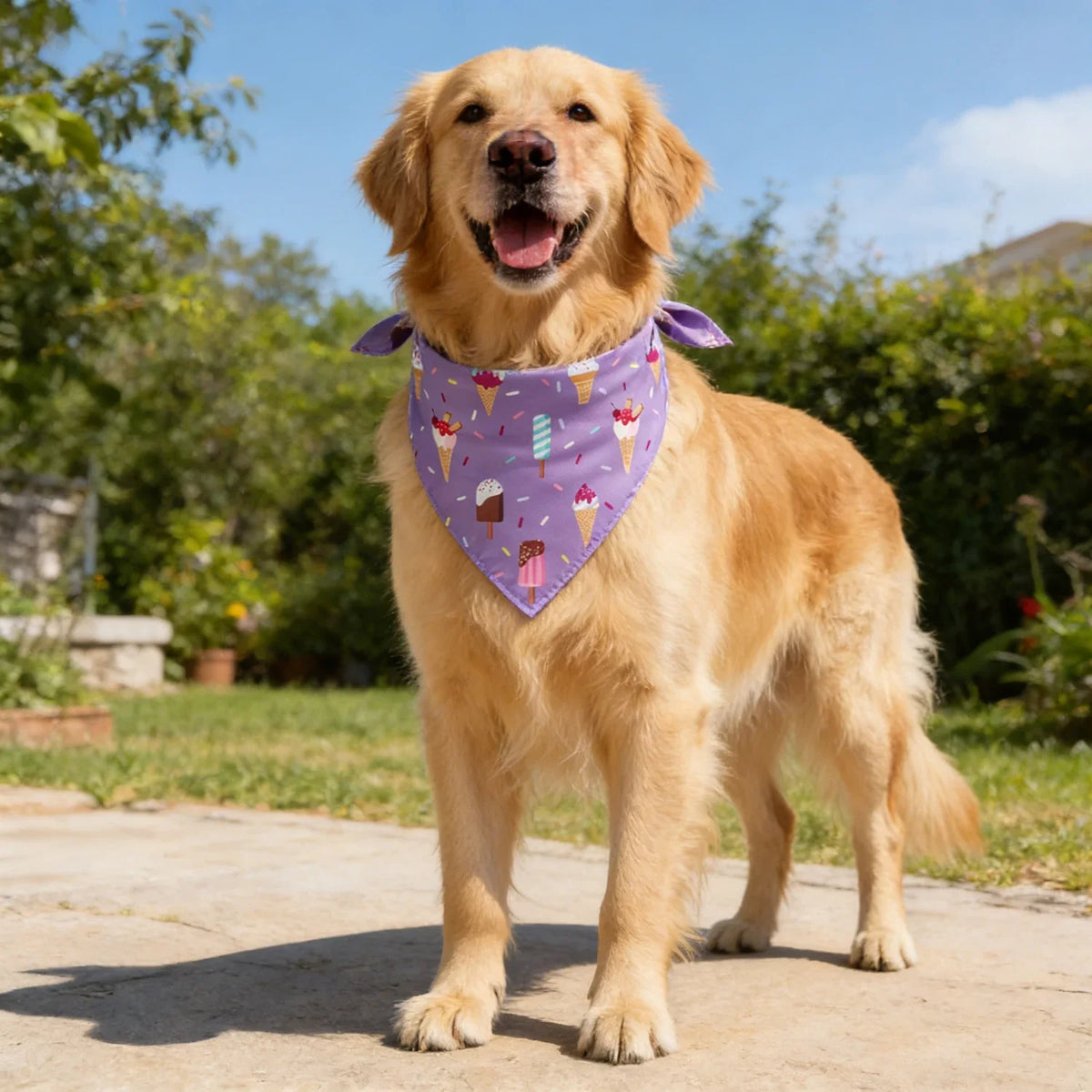 Adjustable Fruit Floral Dog Bandana Soft Washable Scarf