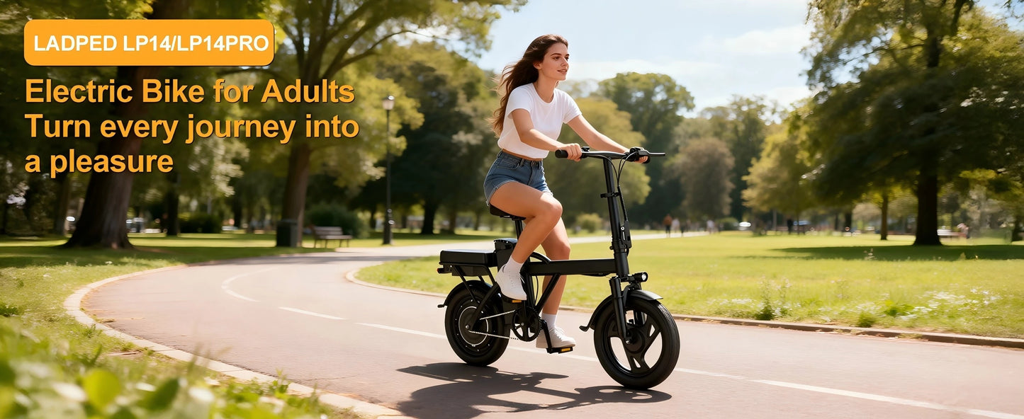 14'' Foldable Electric Bike 500W Motor 48V Battery 22MPH Max Speed 30Miles Long Range with Two Seats for Adult Mini E Bike