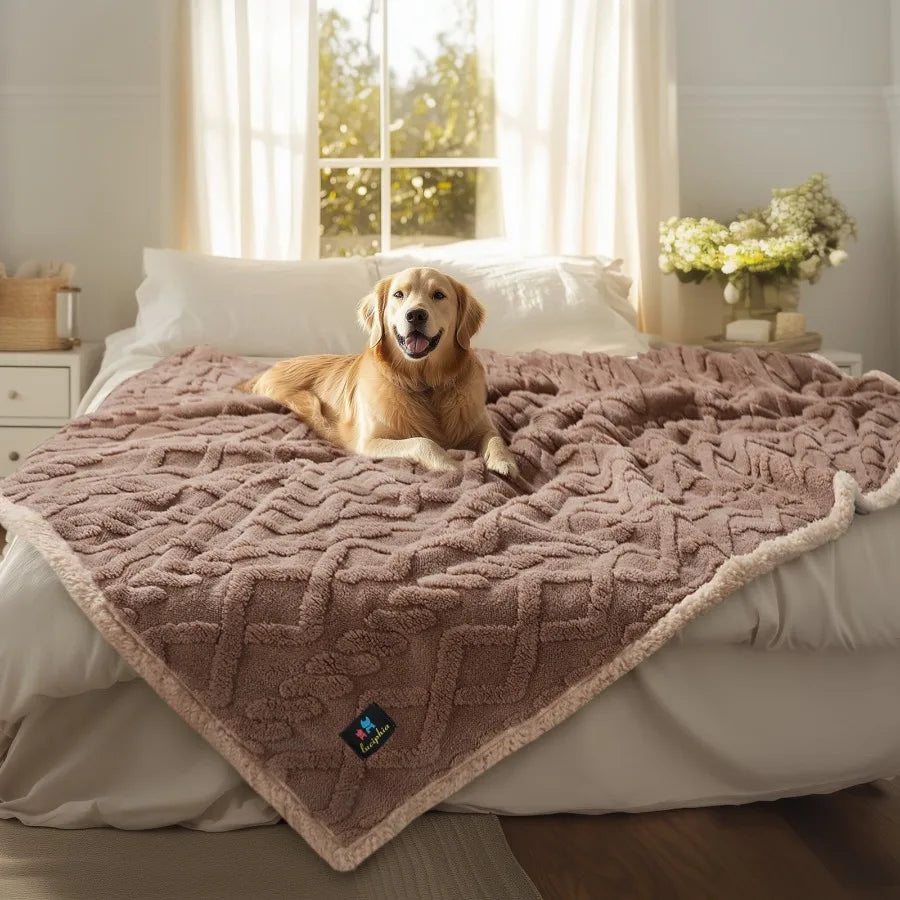 Waterproof Pet Blanket, Liquid Pee Proof Dog Blankets for Sofa Bed Couch, Reversible Sherpa Fleece Furniture Protector Cover fo