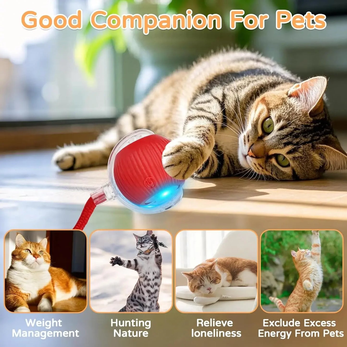 Cat Interactive Ball Toy Automatic Rolling Ball Faux Tail Rechargeable Smart Pet Electric Toy Pet Training Imitate Mouse