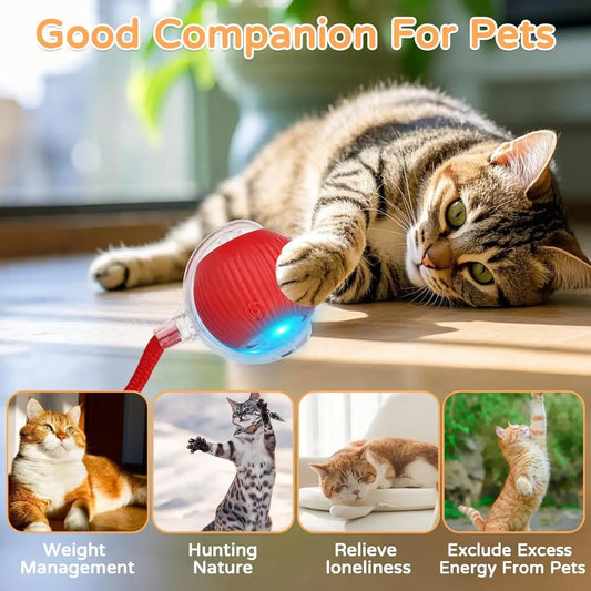 Cat Interactive Ball Toy Automatic Rolling Ball Faux Tail Rechargeable Smart Pet Electric Toy Pet Training Imitate Mouse