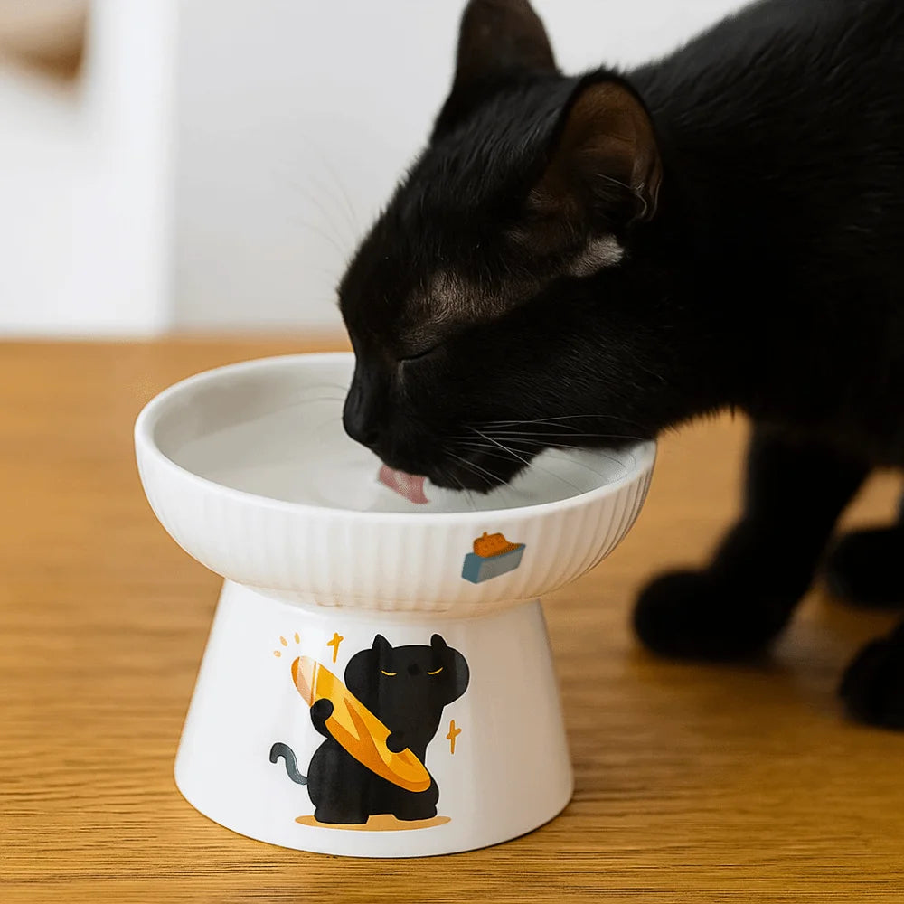 High Foot Pet Bowl Ceramic Slanted Anti Tip Large Capacity Non Slip Feeder Dog Cat Home
