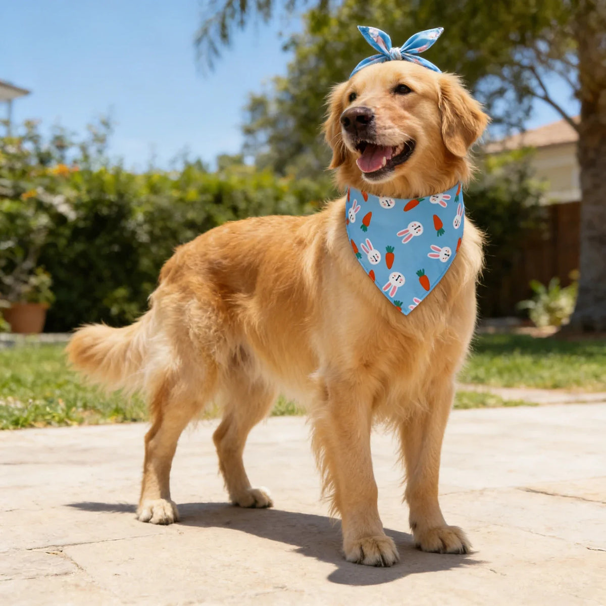 Adjustable Fruit Floral Dog Bandana Soft Washable Scarf