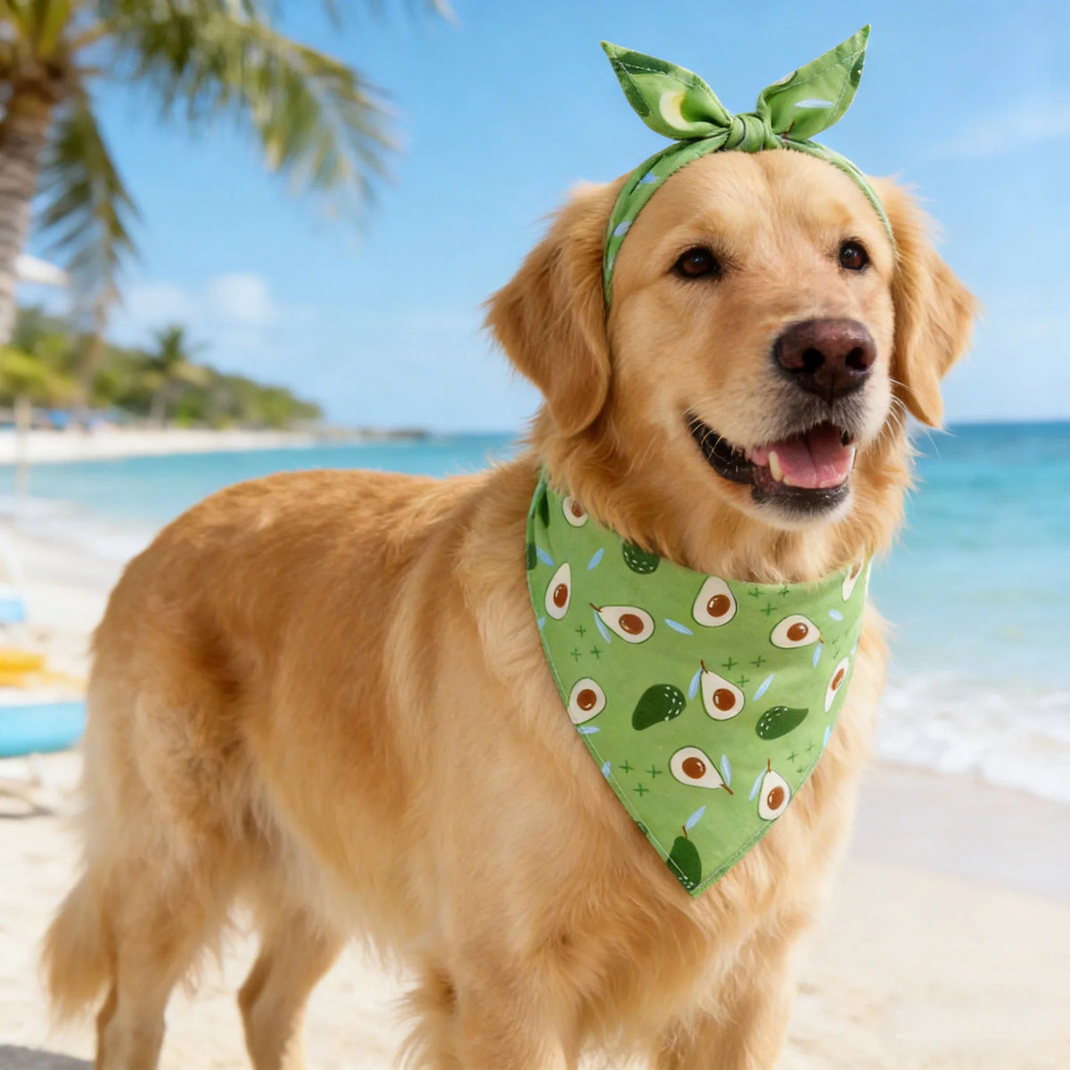 Adjustable Fruit Floral Dog Bandana Soft Washable Scarf